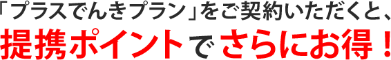 「プラスでんきプラン」をご契約いただくと、提携ポイントでさらにお得!